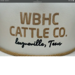 WBHC CATTLE CO