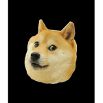|poppytheshiba and friends|