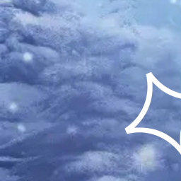 ❅