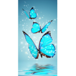 Butterflys ROCK!-TheBlueButterfly_YT
