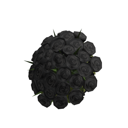 Big Black Roses Bouquet on Hand