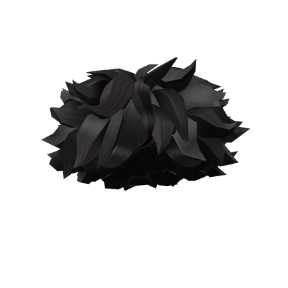 Black Messy Curly Hair