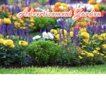 Advertisement Garden