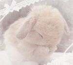 Cutecore:3