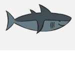shark group for shark fans