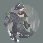 *+/-Amazing Rider's-/+*