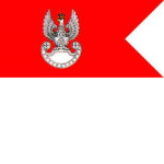 Polska/Polish Army