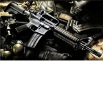 Gun Loverss