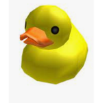 Ducky thing