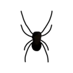 Spider Chopped Chin