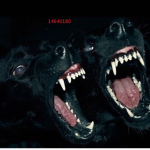 r0v