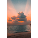#Test Own