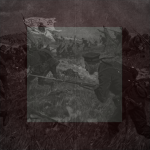 Inspektion der Marine-Infanteriе