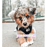 ~ jaes boutique ~