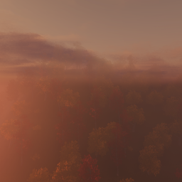 Forest Island