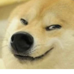 DogeMemers