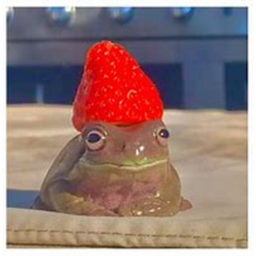 obby