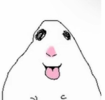 Allycat123400