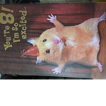 HAMMYS1234