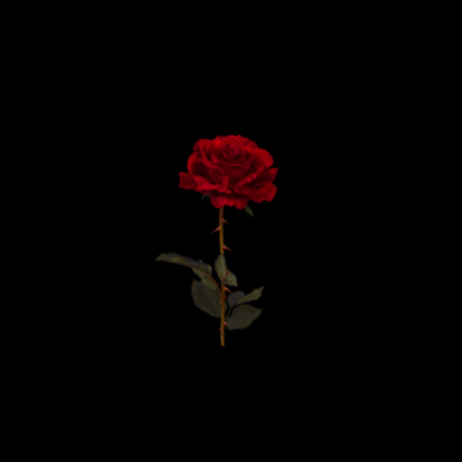 red aesthetic Roblox decal