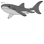 shark fan club group