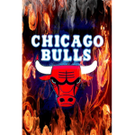 the Chicago bulls (official group)