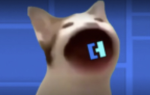 MEOWSTER!!