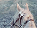 Peppermint Riding Academy