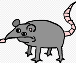 Rats Is Us