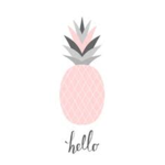 Pineapple Hub