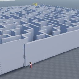 The Maze