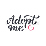 Changing Adopt Me