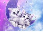 Do you love cats and dogs?