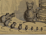 The rats!! :) :)