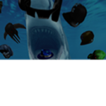 og sharks