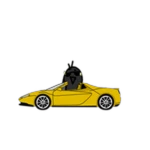 Car Bird