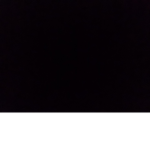 alliplayzyt