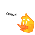 Dang Duck Developers