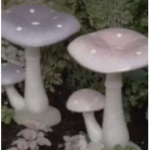 Rainfrog