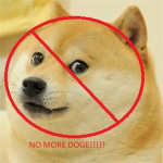 NO MORE DOGES!