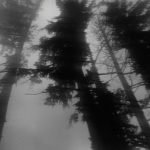 secretzone