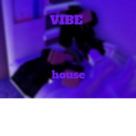 Vibe House Productions