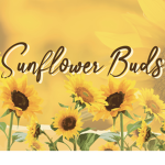 SunflowerBuds Garden!