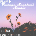 Vintage Seashell Studio