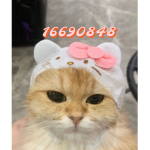 g4ys