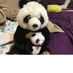 Panda is life love