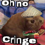 Penoys
