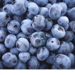 Blueberry babbies