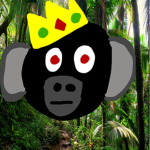 The funny monkey group