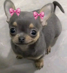 Best is Stich